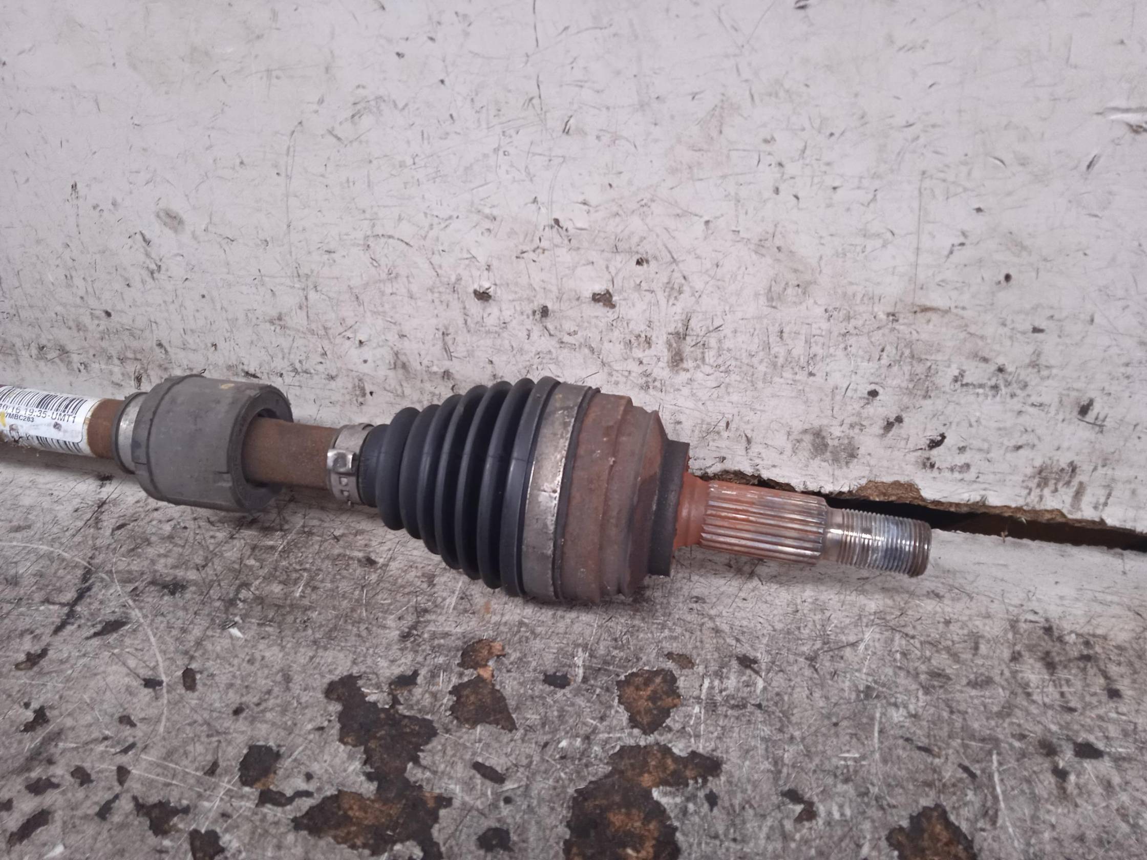 Semialbero ant. compl. sx.